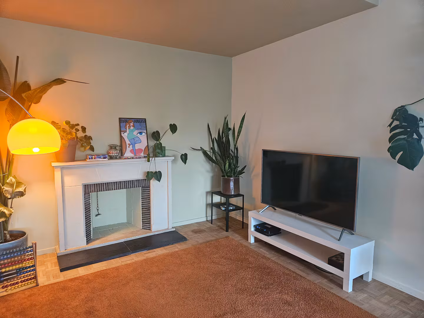 Lichtrijke woning met tuin (kopie) — foto 9